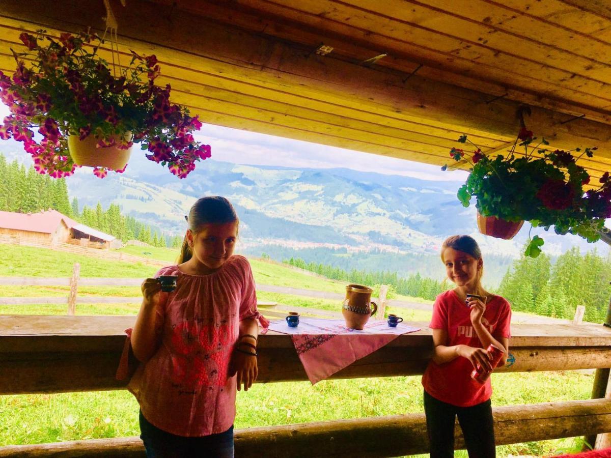 Pensiunea Cassandra Vatra Dornei Bagian luar foto
