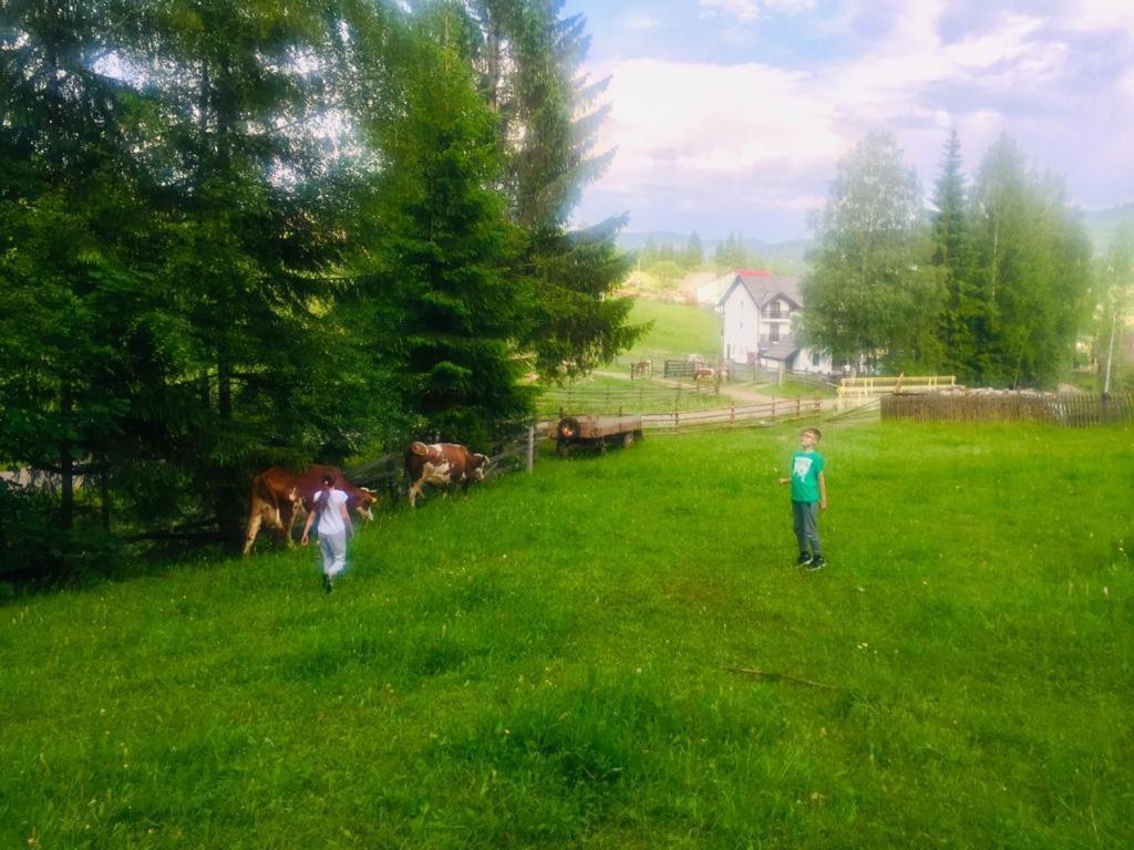 Pensiunea Cassandra Vatra Dornei Bagian luar foto