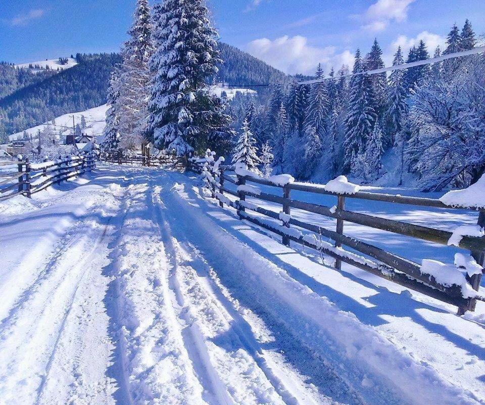 Pensiunea Cassandra Vatra Dornei Bagian luar foto