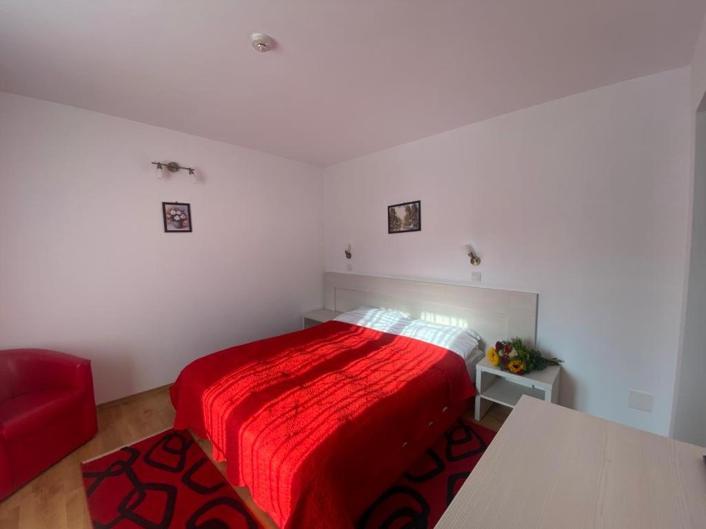 Pensiunea Cassandra Vatra Dornei Bagian luar foto